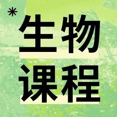2026年8月浙江高三Z20+联盟生物试卷、答案、解析和评分细则(附视频讲解)-第20张图片-四季读书网 2026年8月浙江高三Z20+联盟生物试卷、答案、解析和评分细则(附视频讲解)-第20张图片-四季读书网