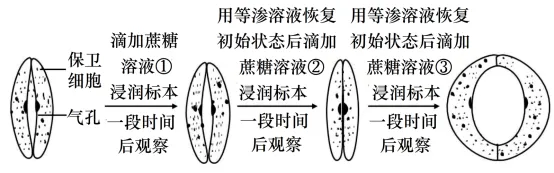 生物高考真题 | 2021年高考生物真题(广东卷)-第4张图片-四季读书网 生物高考真题 | 2021年高考生物真题(广东卷)-第4张图片-四季读书网