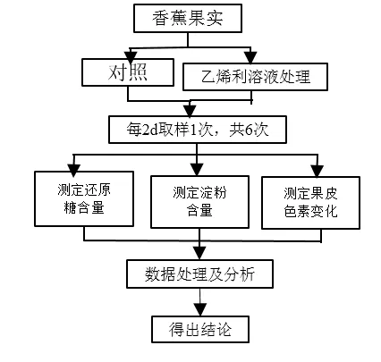 生物高考真题 | 2021年高考生物真题(广东卷)-第5张图片-四季读书网 生物高考真题 | 2021年高考生物真题(广东卷)-第5张图片-四季读书网