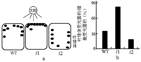 生物高考真题 | 2021年高考生物真题(广东卷)-第6张图片-四季读书网 生物高考真题 | 2021年高考生物真题(广东卷)-第6张图片-四季读书网