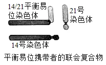 生物高考真题 | 2021年高考生物真题(广东卷)-第7张图片-四季读书网 生物高考真题 | 2021年高考生物真题(广东卷)-第7张图片-四季读书网