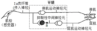 生物高考真题 | 2021年高考生物真题(广东卷)-第8张图片-四季读书网 生物高考真题 | 2021年高考生物真题(广东卷)-第8张图片-四季读书网