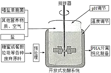生物高考真题 | 2021年高考生物真题(广东卷)-第12张图片-四季读书网 生物高考真题 | 2021年高考生物真题(广东卷)-第12张图片-四季读书网