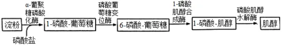 生物高考真题 | 2021年高考生物真题(广东卷)-第13张图片-四季读书网 生物高考真题 | 2021年高考生物真题(广东卷)-第13张图片-四季读书网