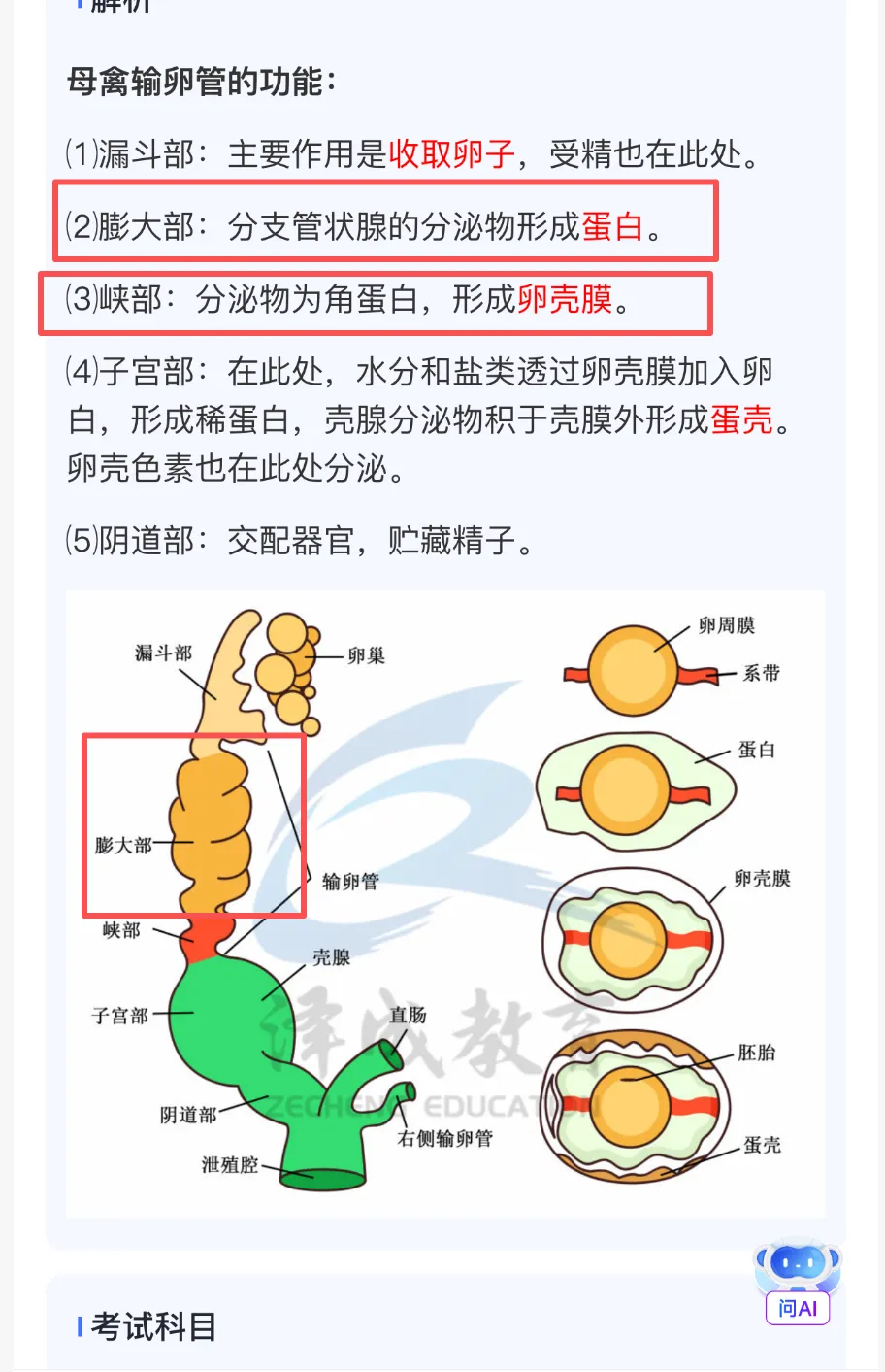 2026延期考区执兽真题来了!快来对答案!-第34张图片-四季读书网 2026延期考区执兽真题来了!快来对答案!-第34张图片-四季读书网