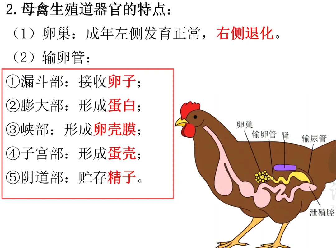 2026延期考区执兽真题来了!快来对答案!-第35张图片-四季读书网 2026延期考区执兽真题来了!快来对答案!-第35张图片-四季读书网