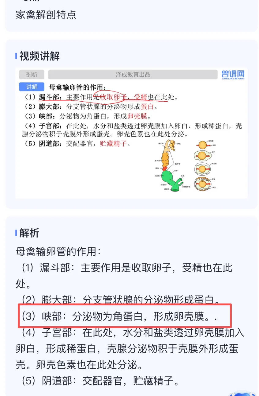 2026延期考区执兽真题来了!快来对答案!-第37张图片-四季读书网 2026延期考区执兽真题来了!快来对答案!-第37张图片-四季读书网