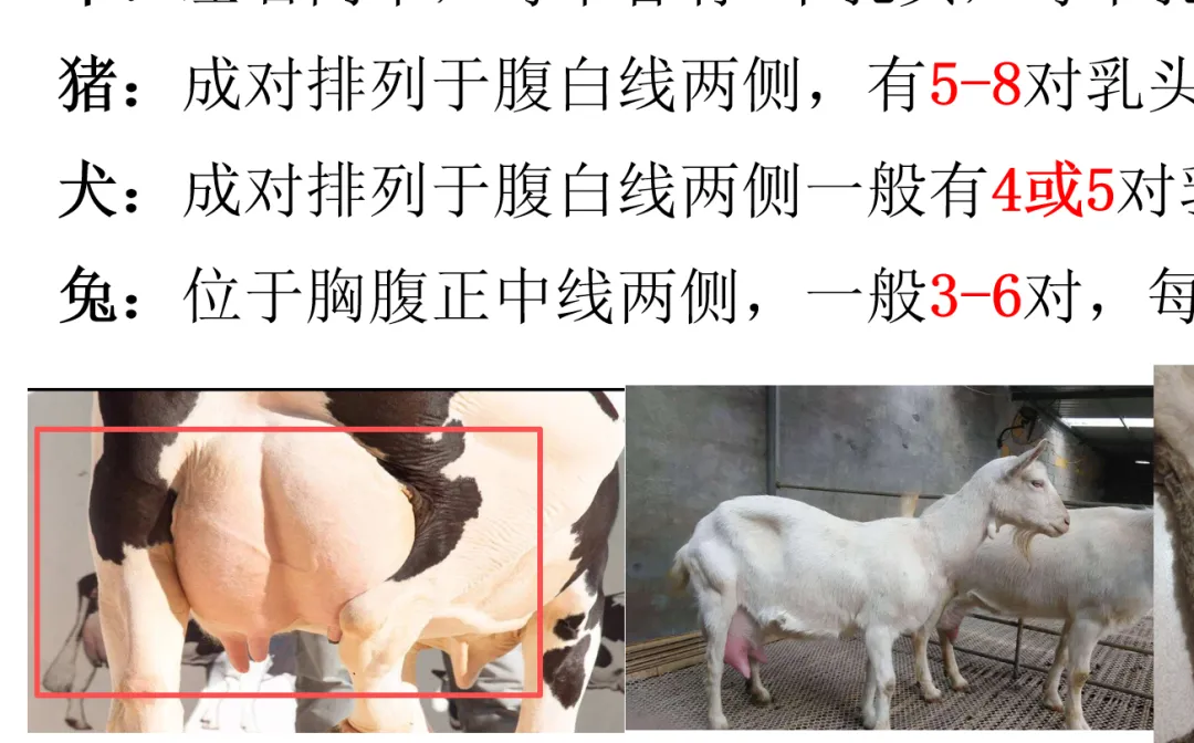2026延期考区执兽真题来了!快来对答案!-第42张图片-四季读书网 2026延期考区执兽真题来了!快来对答案!-第42张图片-四季读书网
