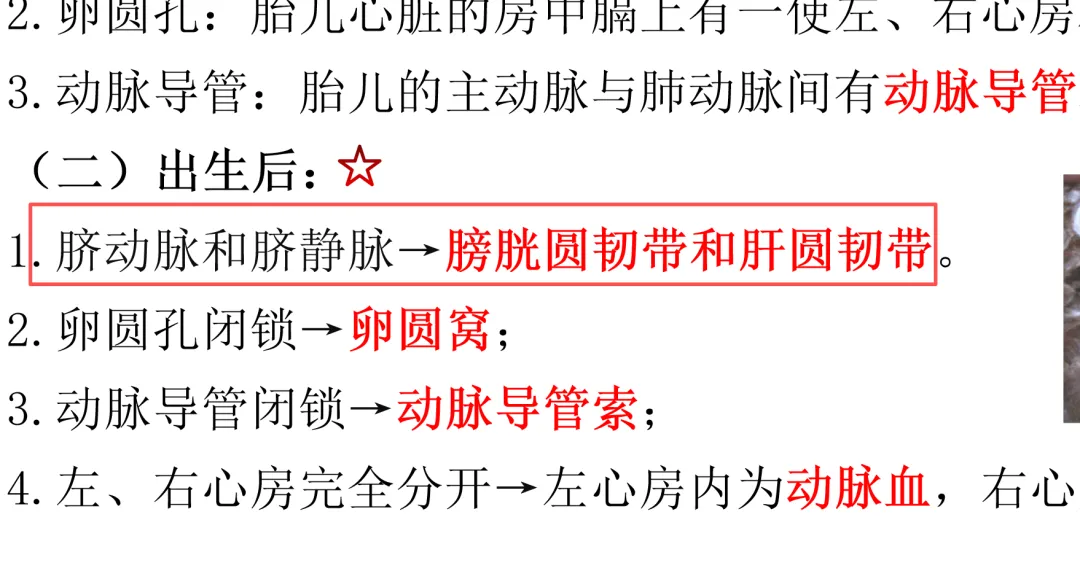 2026延期考区执兽真题来了!快来对答案!-第45张图片-四季读书网 2026延期考区执兽真题来了!快来对答案!-第45张图片-四季读书网