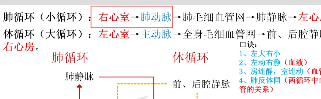 2026延期考区执兽真题来了!快来对答案!-第51张图片-四季读书网 2026延期考区执兽真题来了!快来对答案!-第51张图片-四季读书网