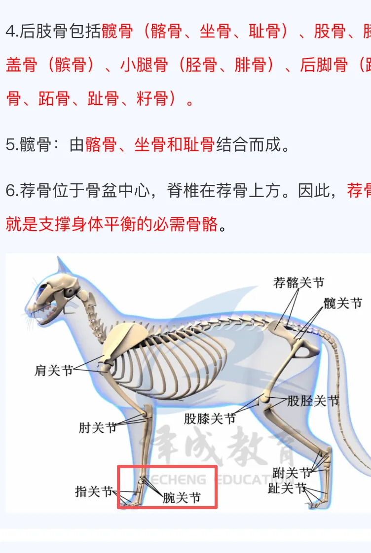 2026延期考区执兽真题来了!快来对答案!-第54张图片-四季读书网 2026延期考区执兽真题来了!快来对答案!-第54张图片-四季读书网