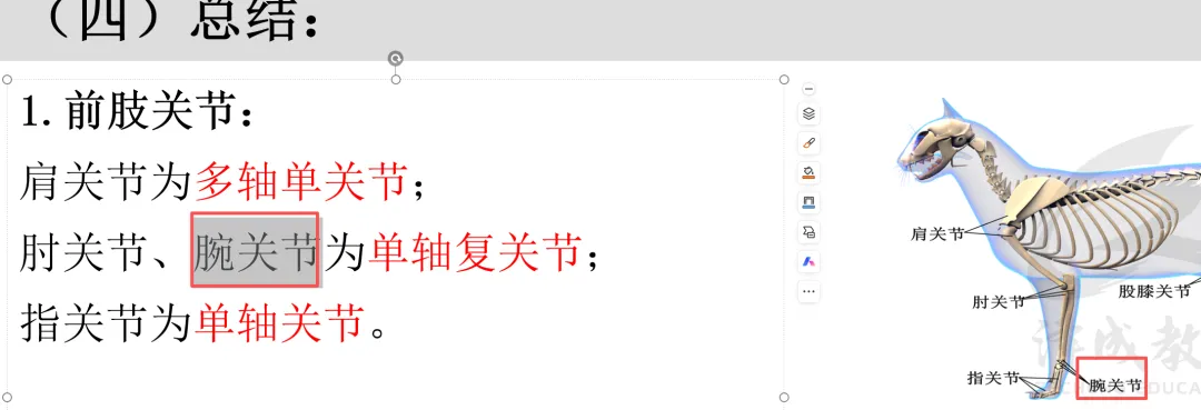 2026延期考区执兽真题来了!快来对答案!-第55张图片-四季读书网 2026延期考区执兽真题来了!快来对答案!-第55张图片-四季读书网