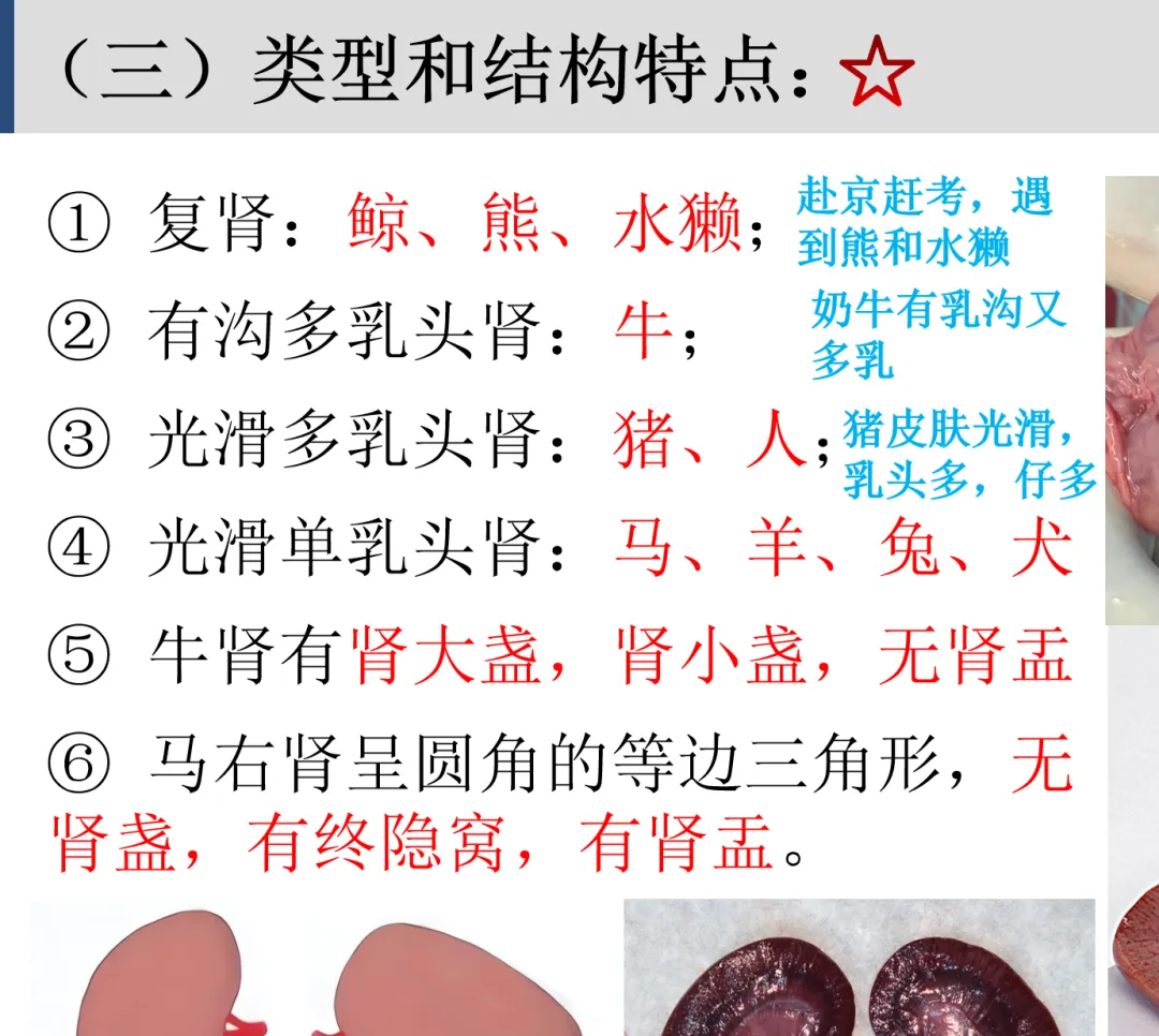 2026延期考区执兽真题来了!快来对答案!-第58张图片-四季读书网 2026延期考区执兽真题来了!快来对答案!-第58张图片-四季读书网