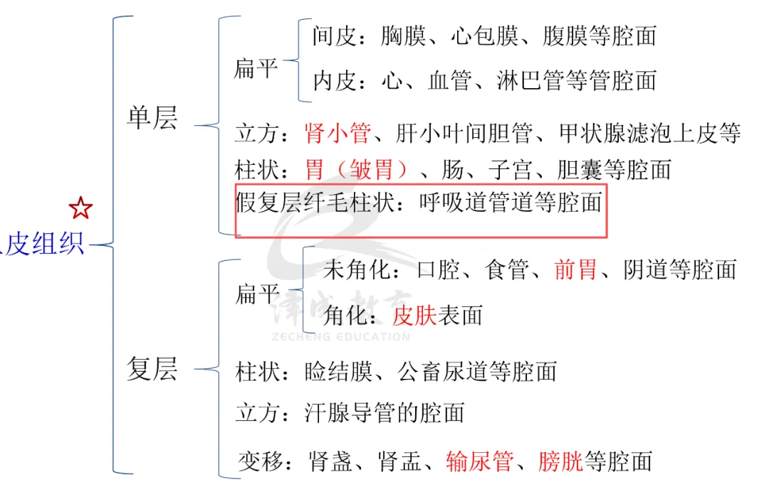 2026延期考区执兽真题来了!快来对答案!-第61张图片-四季读书网 2026延期考区执兽真题来了!快来对答案!-第61张图片-四季读书网
