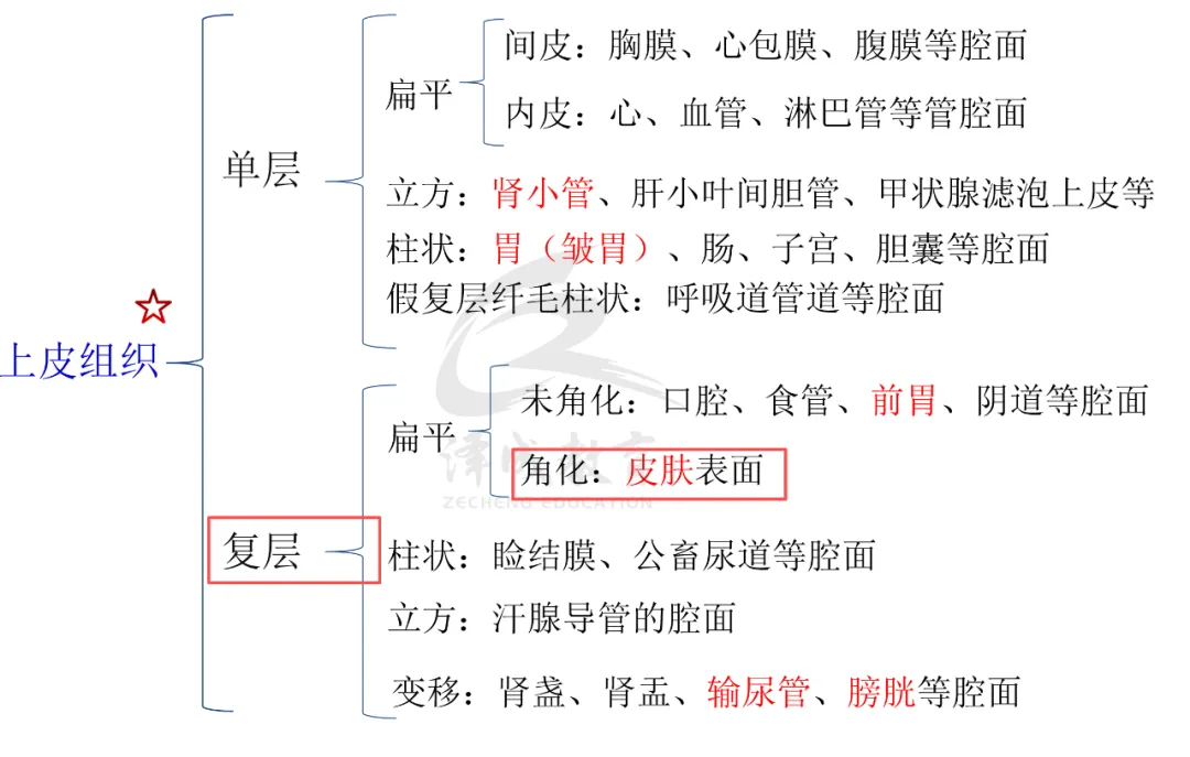 2026延期考区执兽真题来了!快来对答案!-第64张图片-四季读书网 2026延期考区执兽真题来了!快来对答案!-第64张图片-四季读书网