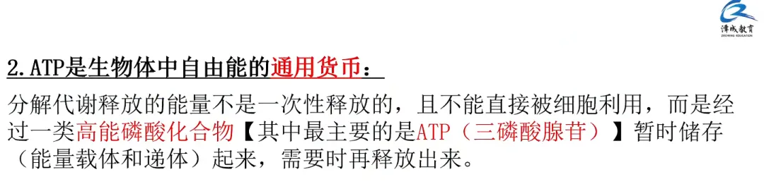 2026延期考区执兽真题来了!快来对答案!-第77张图片-四季读书网 2026延期考区执兽真题来了!快来对答案!-第77张图片-四季读书网
