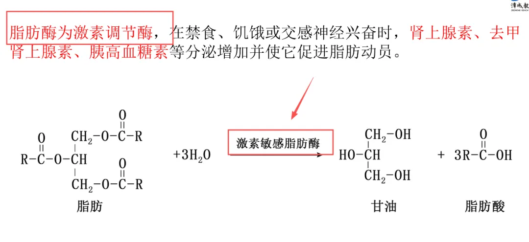 2026延期考区执兽真题来了!快来对答案!-第81张图片-四季读书网 2026延期考区执兽真题来了!快来对答案!-第81张图片-四季读书网