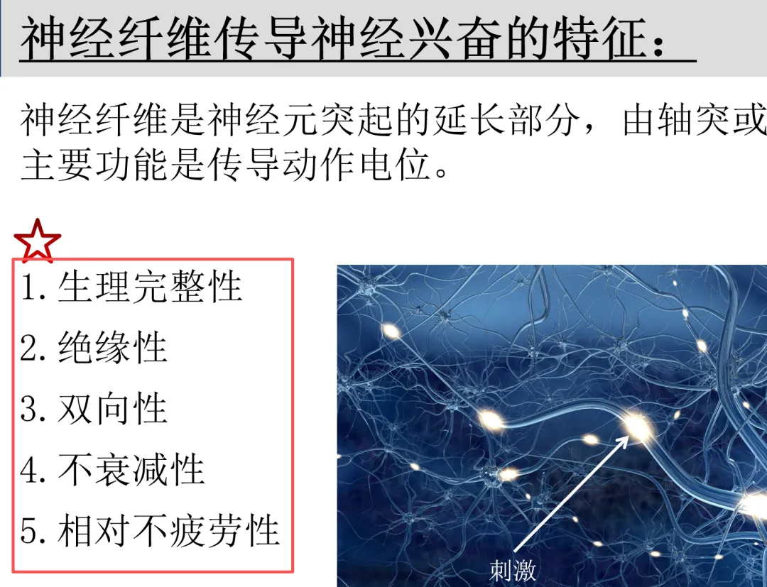 2026延期考区执兽真题来了!快来对答案!-第84张图片-四季读书网 2026延期考区执兽真题来了!快来对答案!-第84张图片-四季读书网