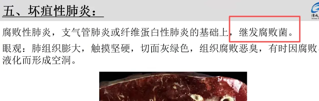 2026延期考区执兽真题来了!快来对答案!-第87张图片-四季读书网 2026延期考区执兽真题来了!快来对答案!-第87张图片-四季读书网