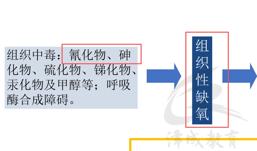 2026延期考区执兽真题来了!快来对答案!-第100张图片-四季读书网 2026延期考区执兽真题来了!快来对答案!-第100张图片-四季读书网