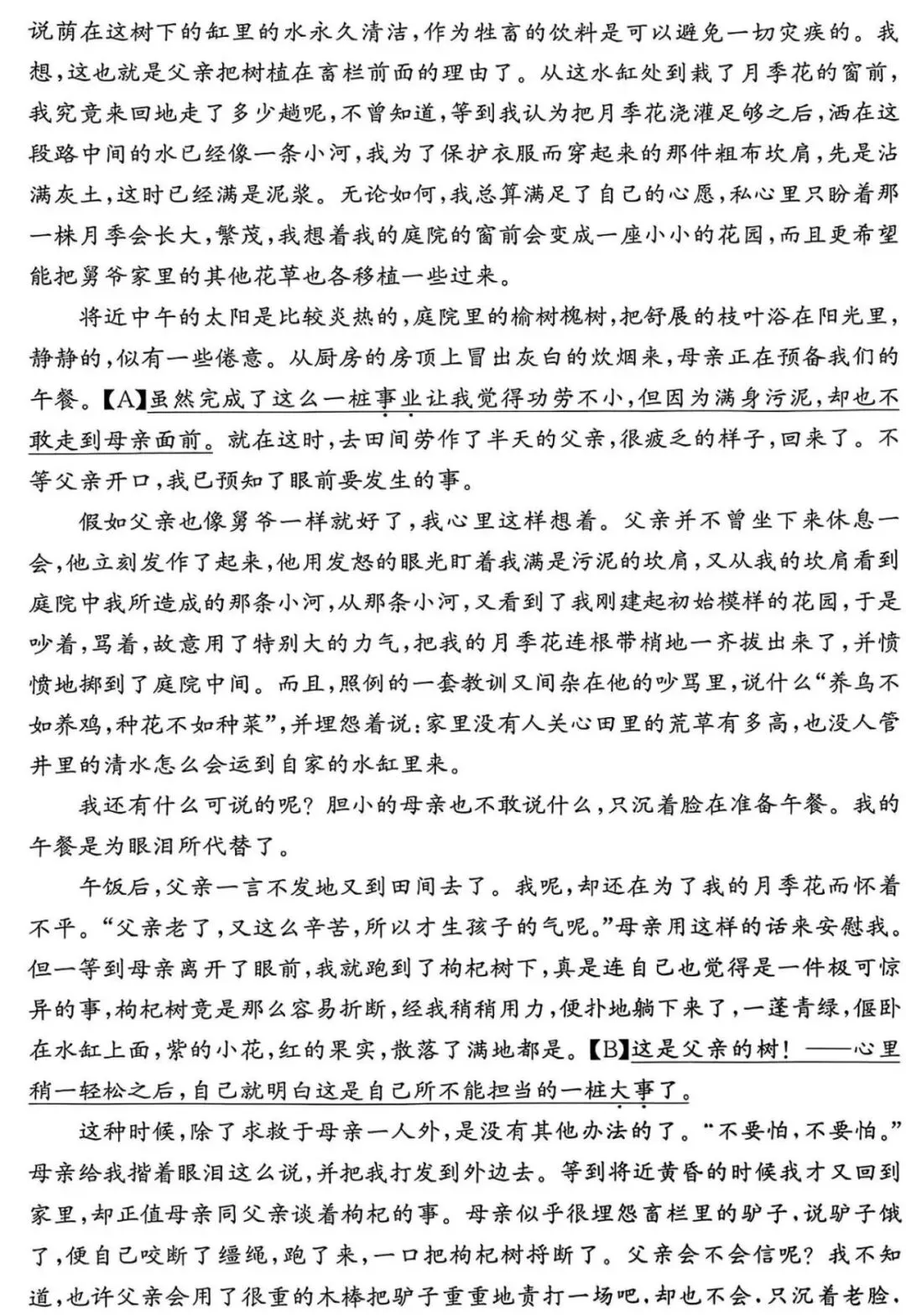 【中考语文】从2026浙江中考语文卷,看重难点和中考趋势-第8张图片-四季读书网