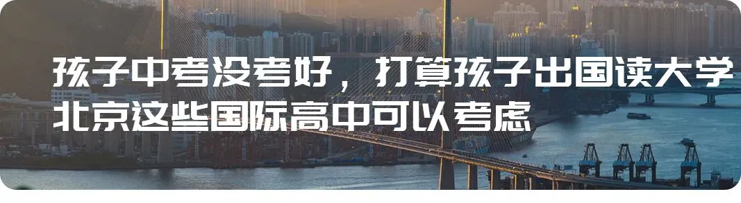 北京中考就是个骗局:还没进考场,你家孩子已经输了-第12张图片-四季读书网