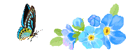 山海携手,石榴绽芳华 雷山二中 6 名中考优秀学子参与粤港澳夏令营-第6张图片-四季读书网