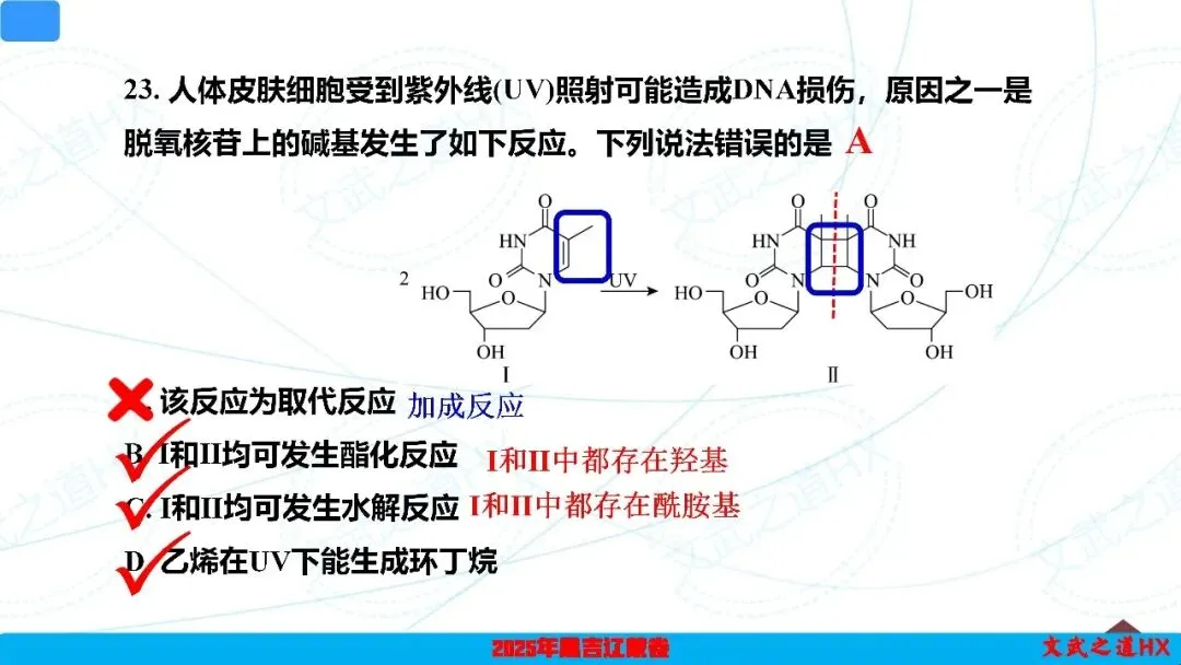 【高考真题研究】专题七 有机化学基础-第47张图片-四季读书网 【高考真题研究】专题七 有机化学基础-第47张图片-四季读书网