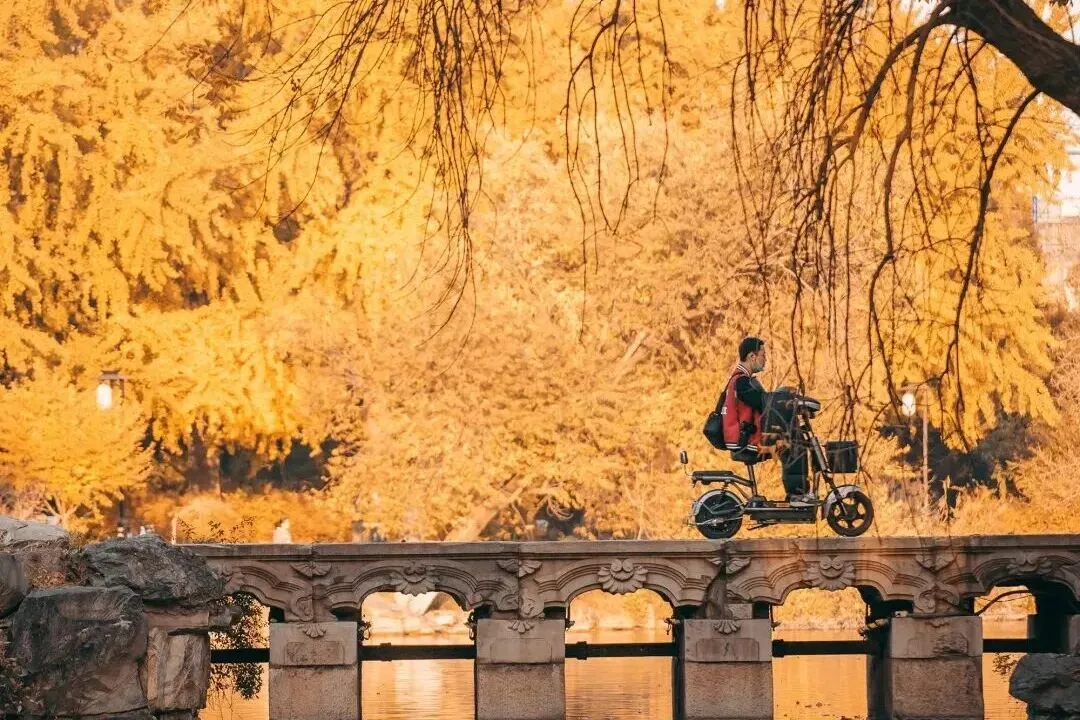 全国各地中考模拟系列:2024年中考英语模拟试题-第1张图片-四季读书网