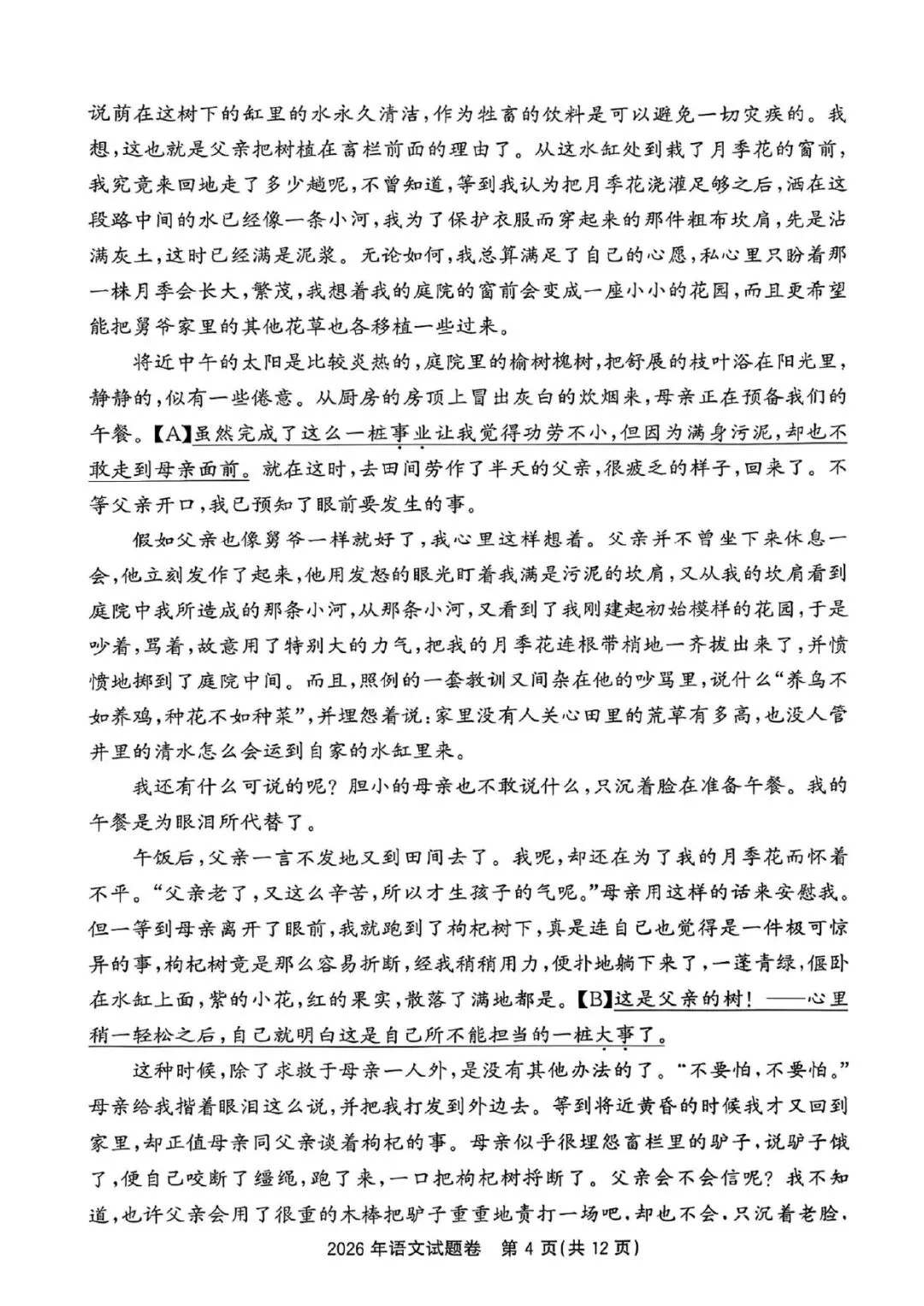 任务驱动成主流!2026 浙江中考语文真题解读 + 2027 备考指南-第5张图片-四季读书网 任务驱动成主流!2026 浙江中考语文真题解读 + 2027 备考指南-第5张图片-四季读书网