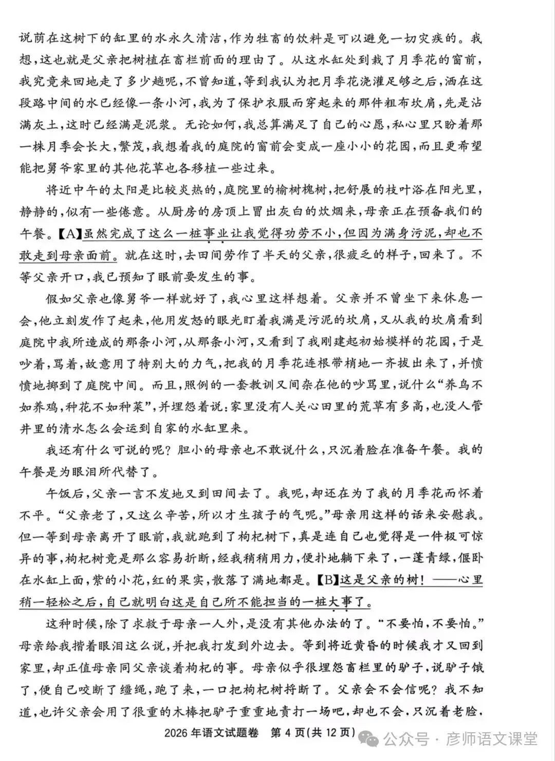 2026年浙江省中考语文卷及答案-第4张图片-四季读书网