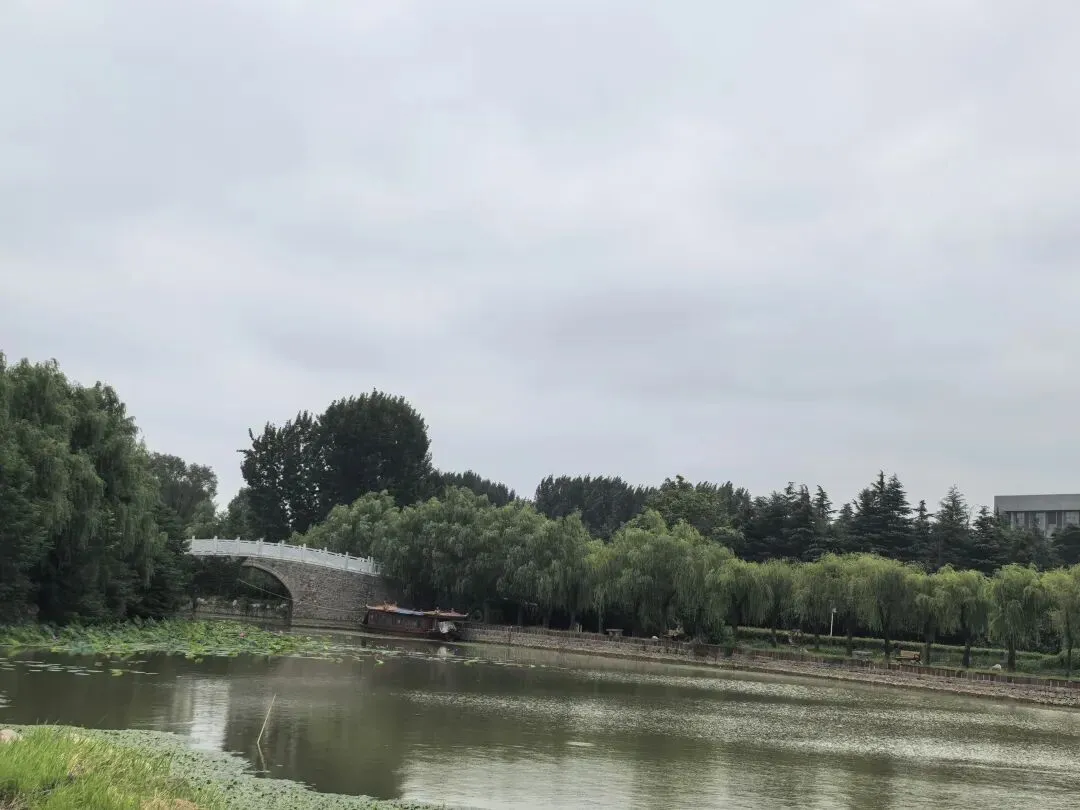 九年级中考英语工作总结-第1张图片-四季读书网 九年级中考英语工作总结-第1张图片-四季读书网