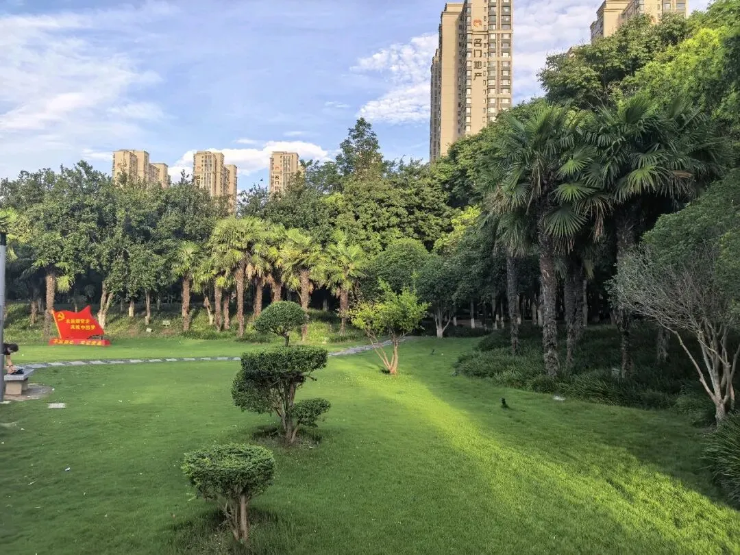 九年级中考英语工作总结-第3张图片-四季读书网 九年级中考英语工作总结-第3张图片-四季读书网