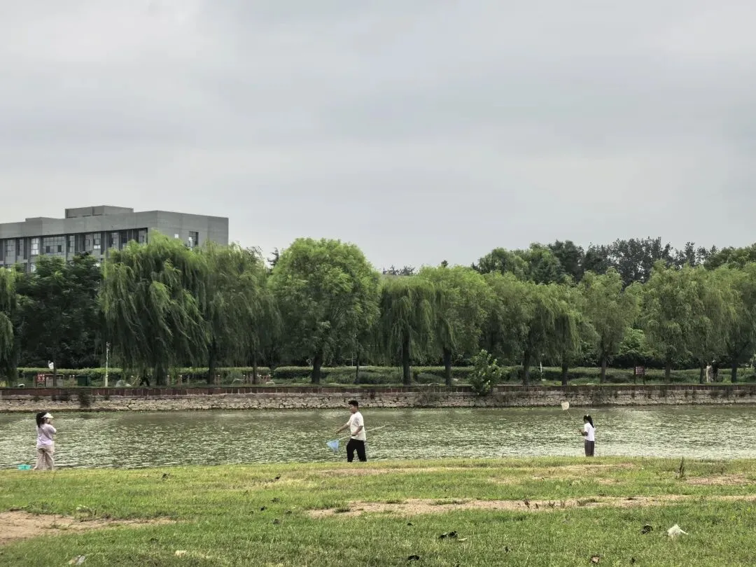 九年级中考英语工作总结-第4张图片-四季读书网 九年级中考英语工作总结-第4张图片-四季读书网