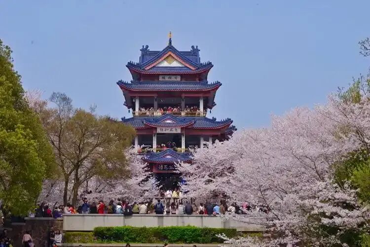 2026中考语文卷:江苏省无锡市-第13张图片-四季读书网 2026中考语文卷:江苏省无锡市-第13张图片-四季读书网