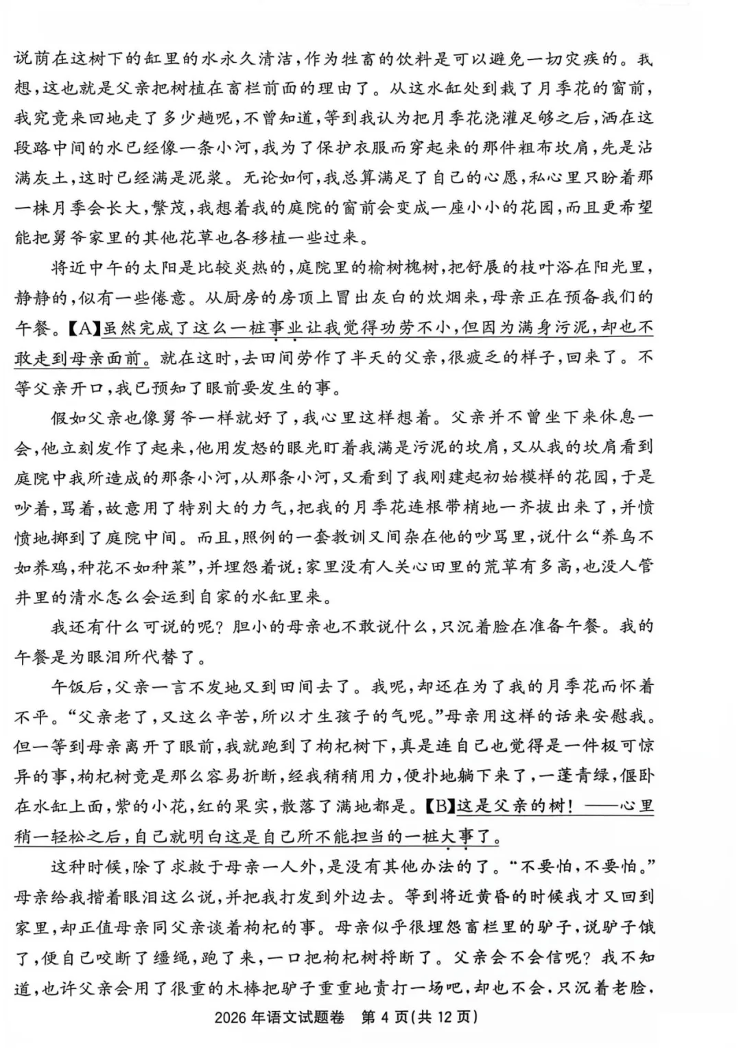 中考卷|2026年浙江省中考语文试卷(含答案)-第6张图片-四季读书网 中考卷|2026年浙江省中考语文试卷(含答案)-第6张图片-四季读书网