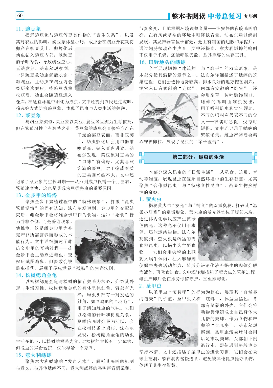 中考必看!九年级12部中考名著考点,一站式集齐(附清晰版阅读)-第12张图片-四季读书网