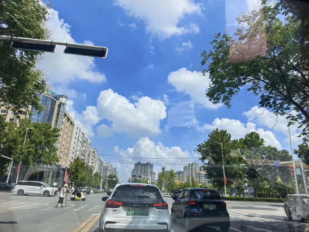 8.25学课标,做真题,明方向-第2张图片-四季读书网