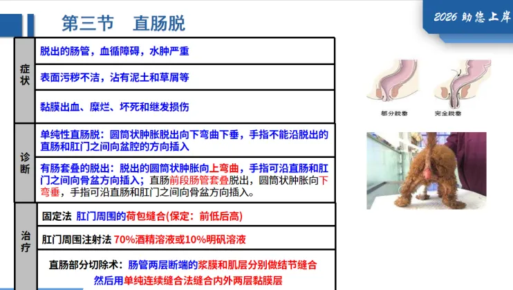 26年执兽考试【B卷】真题回忆版(第三弹)-第20张图片-四季读书网