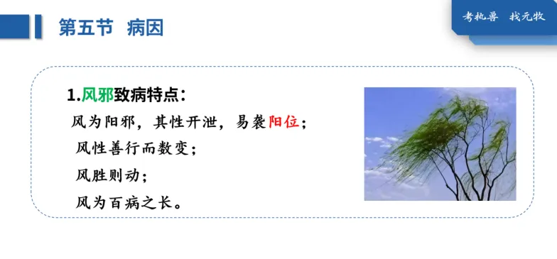 26年执兽考试【B卷】真题回忆版(第三弹)-第28张图片-四季读书网