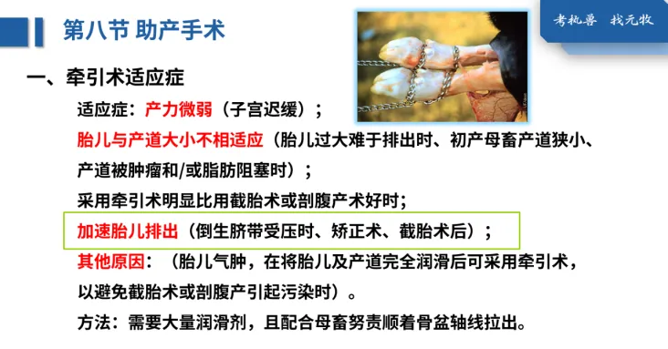 26年执兽考试【B卷】真题回忆版(第三弹)-第37张图片-四季读书网