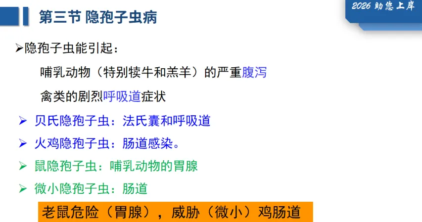 26年执兽考试【B卷】真题回忆版(第三弹)-第39张图片-四季读书网
