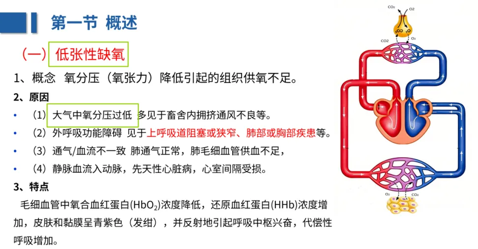 26年执兽考试【B卷】真题回忆版 (第二弹)-第14张图片-四季读书网