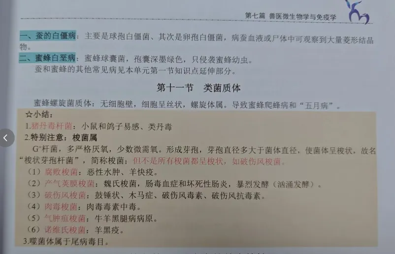 26年执兽考试【B卷】真题回忆版 (第二弹)-第26张图片-四季读书网 26年执兽考试【B卷】真题回忆版 (第二弹)-第26张图片-四季读书网