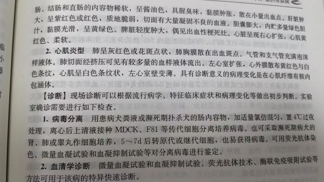 26年执兽考试【B卷】真题回忆版 (第二弹)-第35张图片-四季读书网 26年执兽考试【B卷】真题回忆版 (第二弹)-第35张图片-四季读书网
