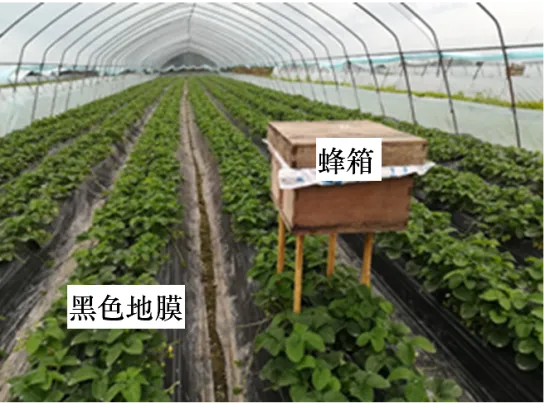 【举一反三】2026年高考地理真题变式训练35-第3张图片-四季读书网