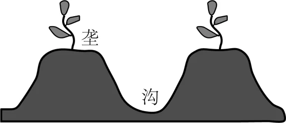 【举一反三】2026年高考地理真题变式训练35-第4张图片-四季读书网