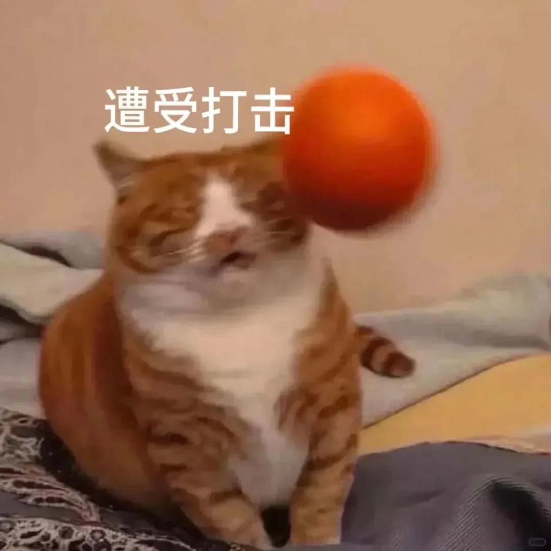真题D2��| “考研美术徐涛”又双叒上任了��?-第8张图片-四季读书网