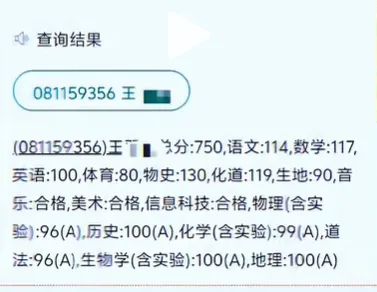今年中考750+成绩单长这样?快来沾喜气!附高中各科目标分拆解-第5张图片-四季读书网 今年中考750+成绩单长这样?快来沾喜气!附高中各科目标分拆解-第5张图片-四季读书网