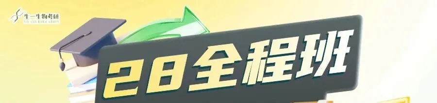 【送背诵手册】生一生物考研28考研资料体系介绍!覆盖备考全阶段需求!新增金牌无忧专属刷题背诵资料!-第2张图片-四季读书网